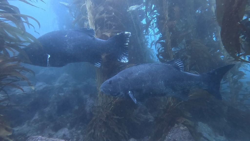 4a424670-dc2d-4b3b-8269-1111d1ac62e8