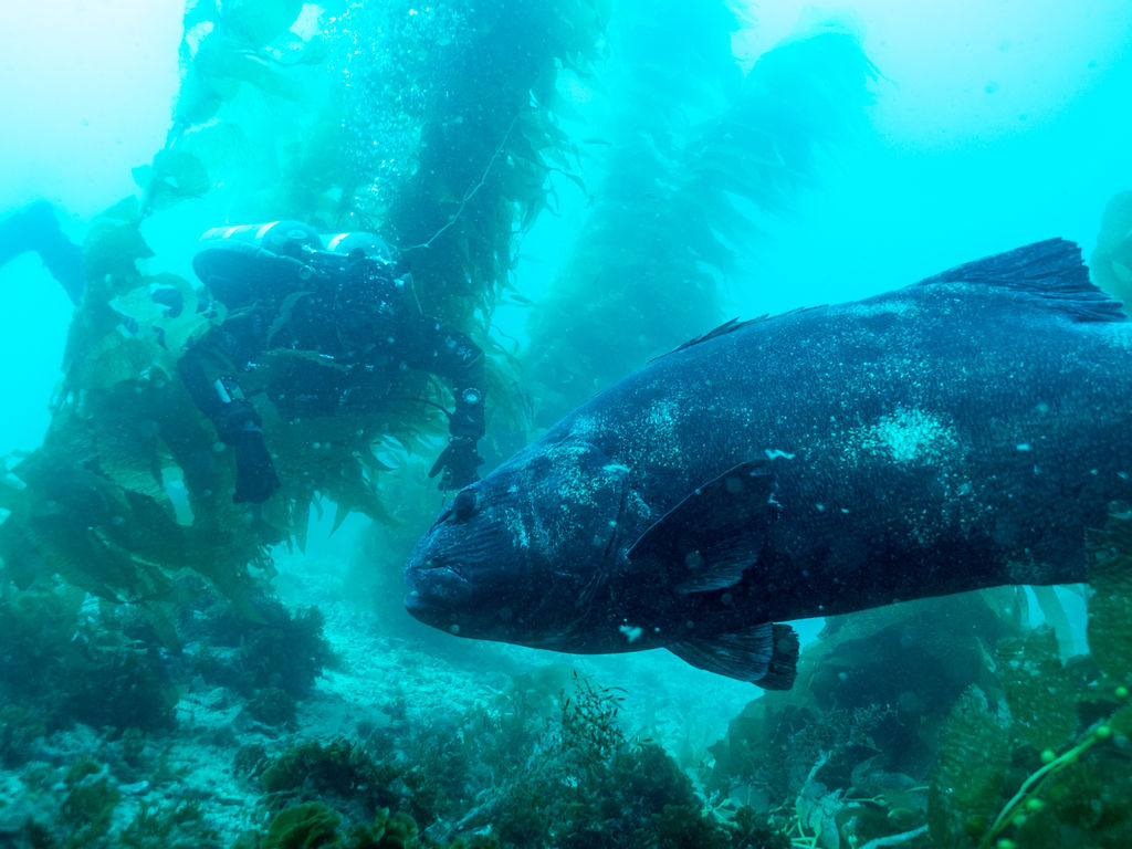 541d2609-d2d3-40bc-a85f-7636aa171d25