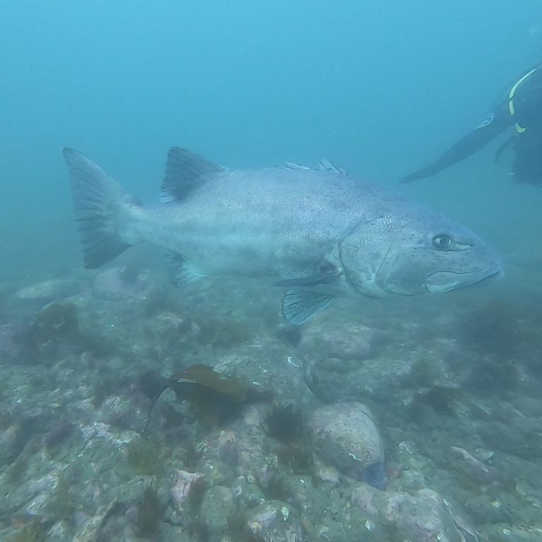 975d569b-8318-40ee-8b09-72d7d2118f18