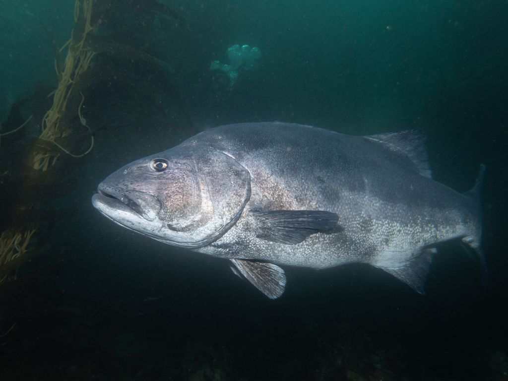 52393670-6752-46f0-99b0-27b336f8e681