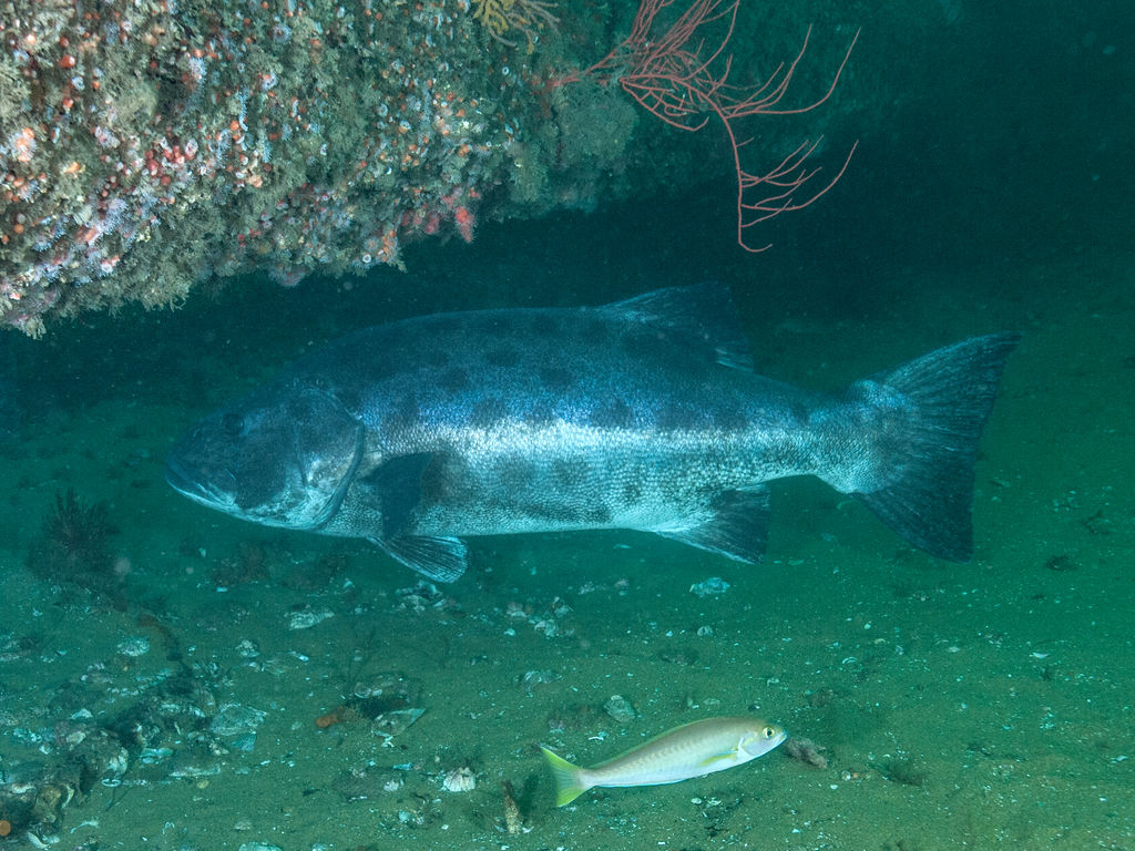 6ad42f22-8992-402e-8947-f2f736b900eb