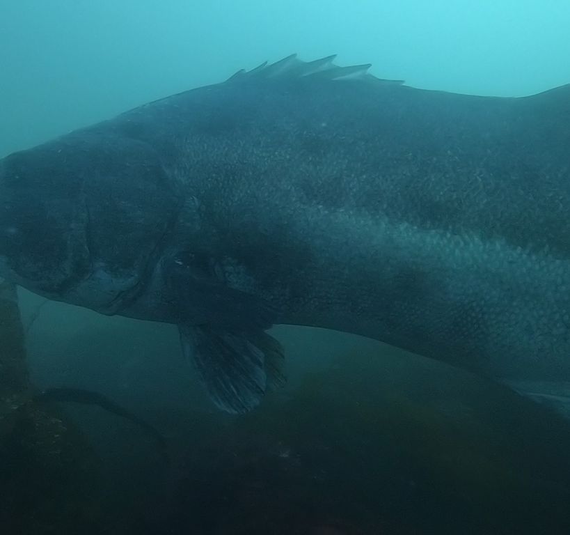 443e9ad7-373d-4c48-8e99-9cf95a6390b6