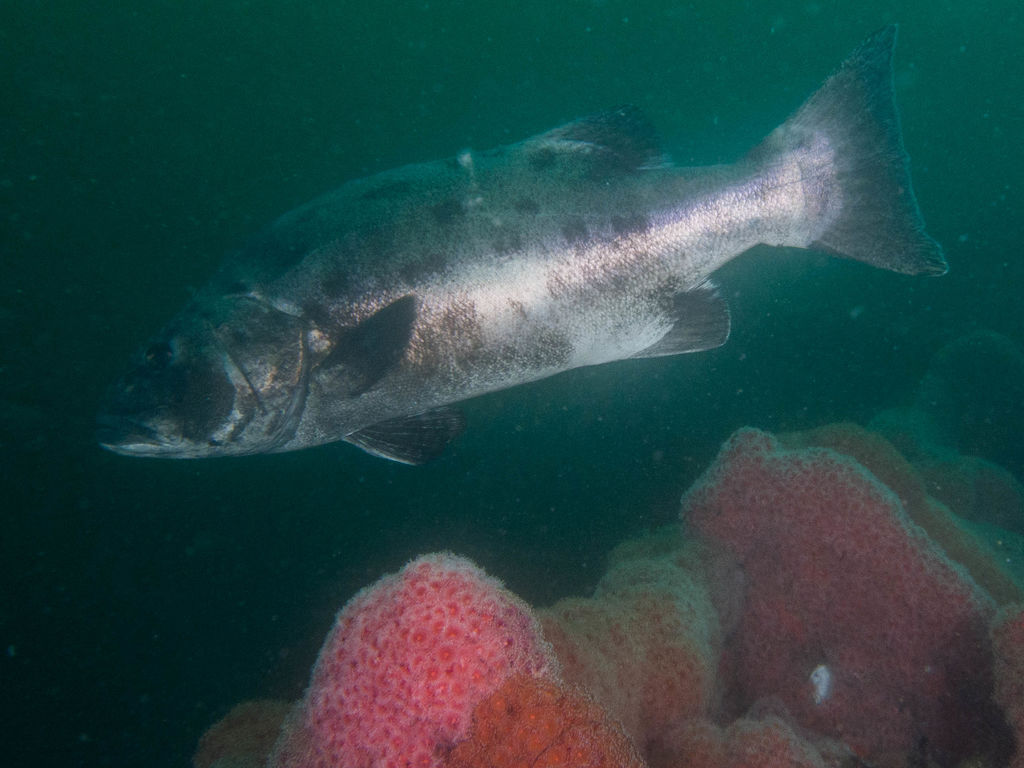 6415b7c1-5028-4955-9aea-1a8ee63ed22d