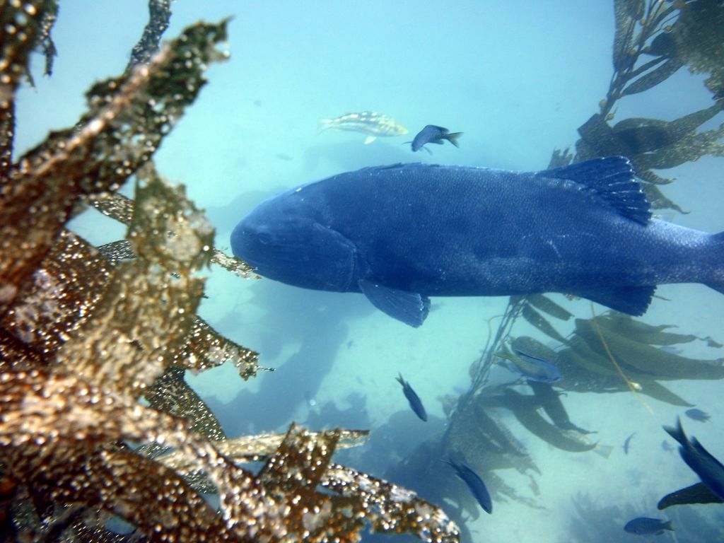 b88f52db-ee0d-4291-9d3a-f3d0b05b983e