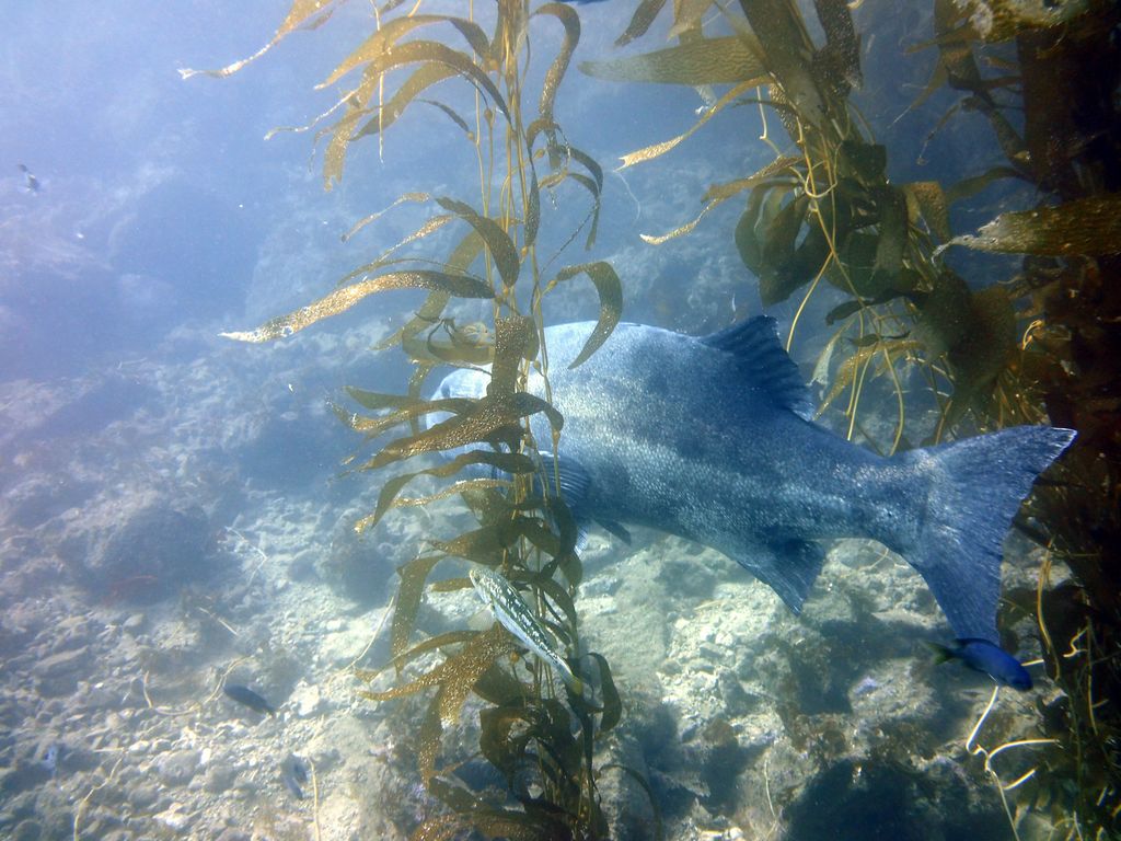 b88f52db-ee0d-4291-9d3a-f3d0b05b983e