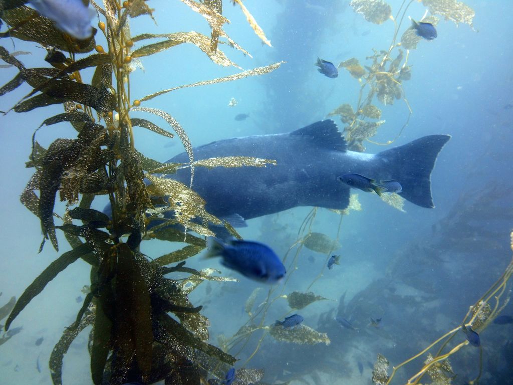 b88f52db-ee0d-4291-9d3a-f3d0b05b983e