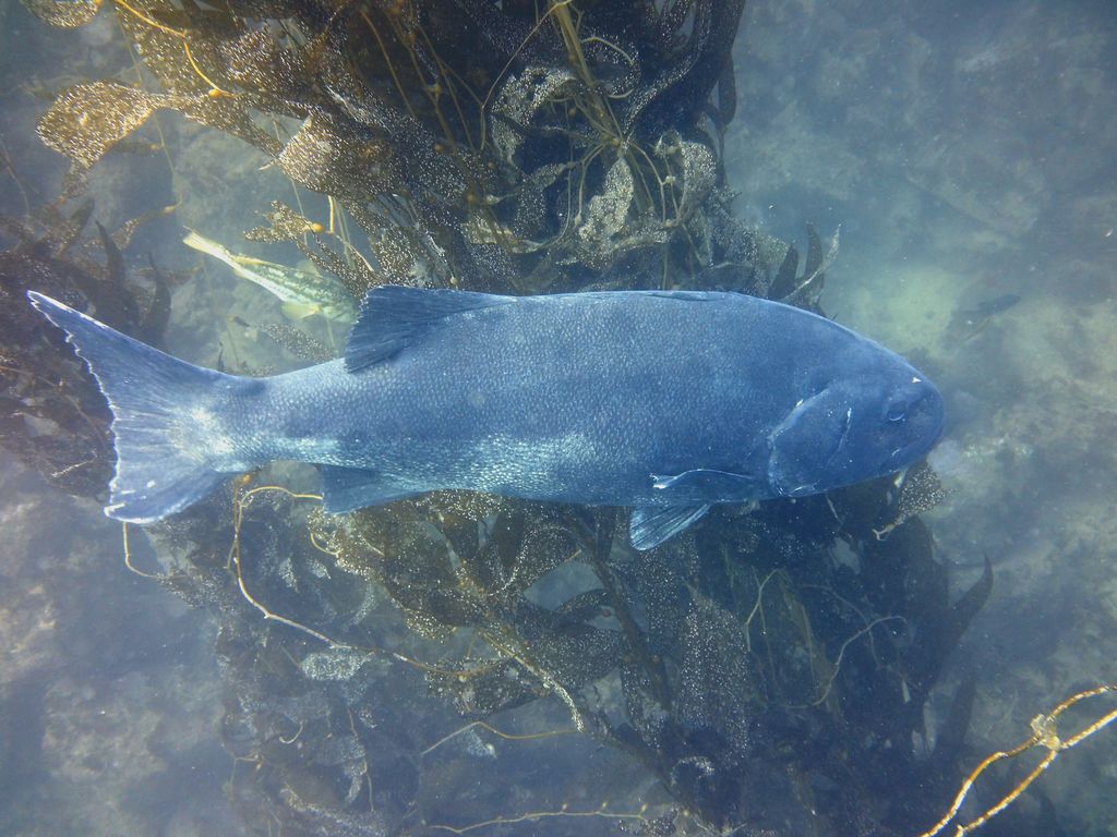 b88f52db-ee0d-4291-9d3a-f3d0b05b983e