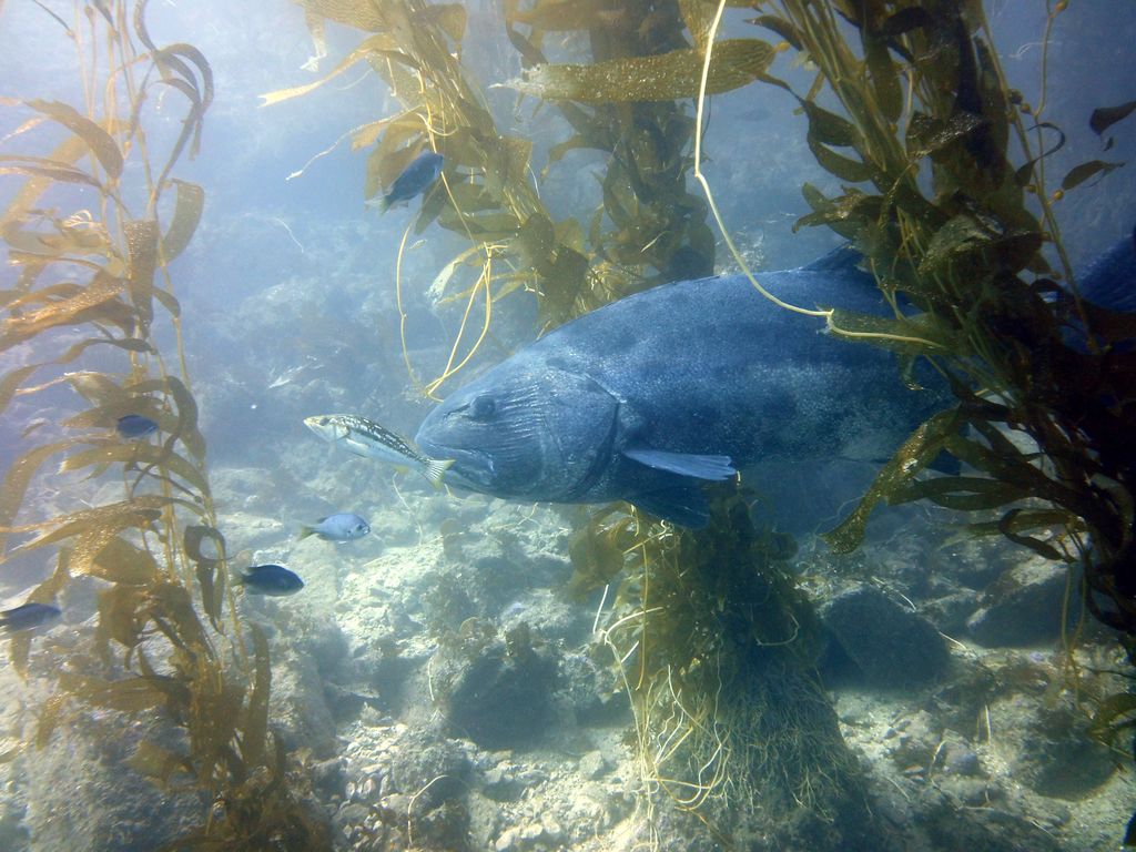 b88f52db-ee0d-4291-9d3a-f3d0b05b983e