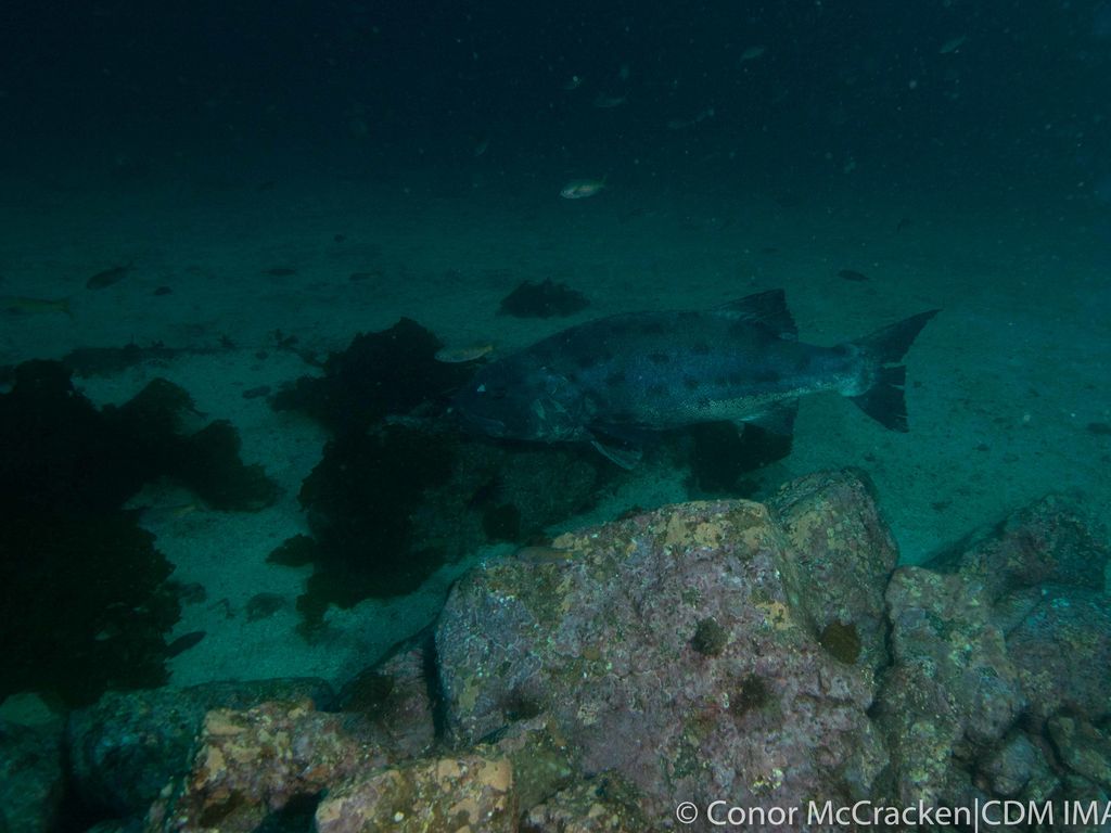 63f0433f-9c9d-46d7-88b2-2a0391c42de0