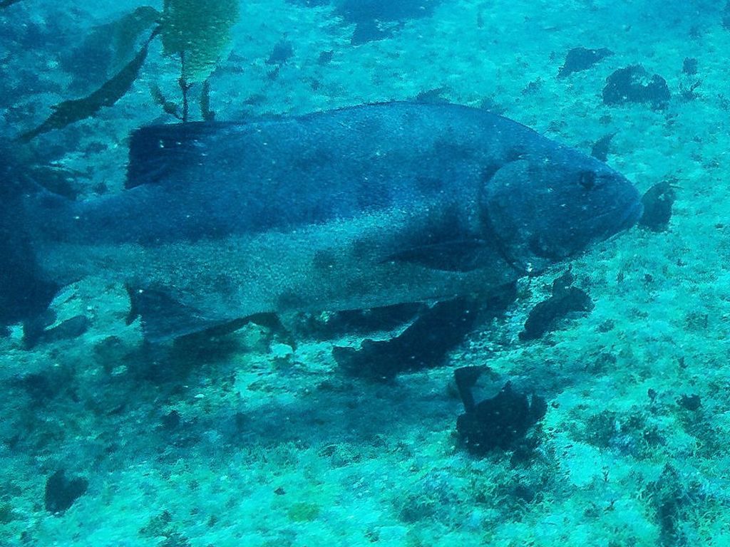 e9bb7e14-ba0e-403d-b548-030bf8fbf3b5