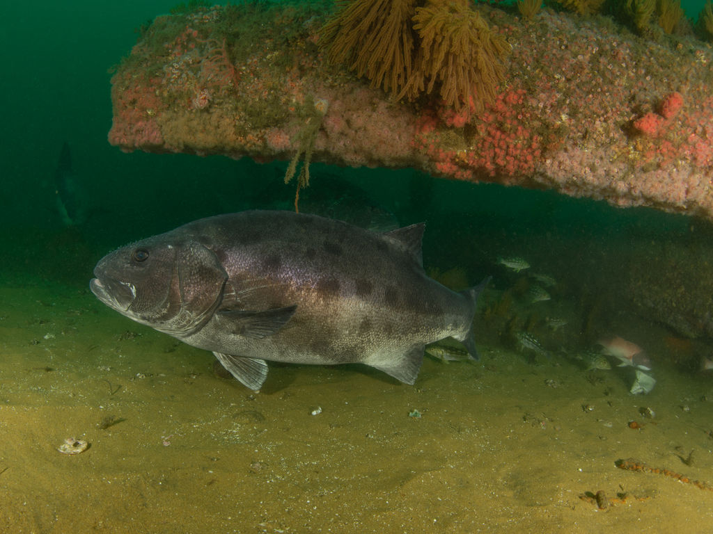 d17d3cd5-b525-43ac-ba63-e14da4468fcc