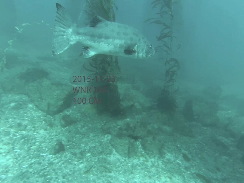 fcaf7399-7024-4368-bb10-25f88eae982c