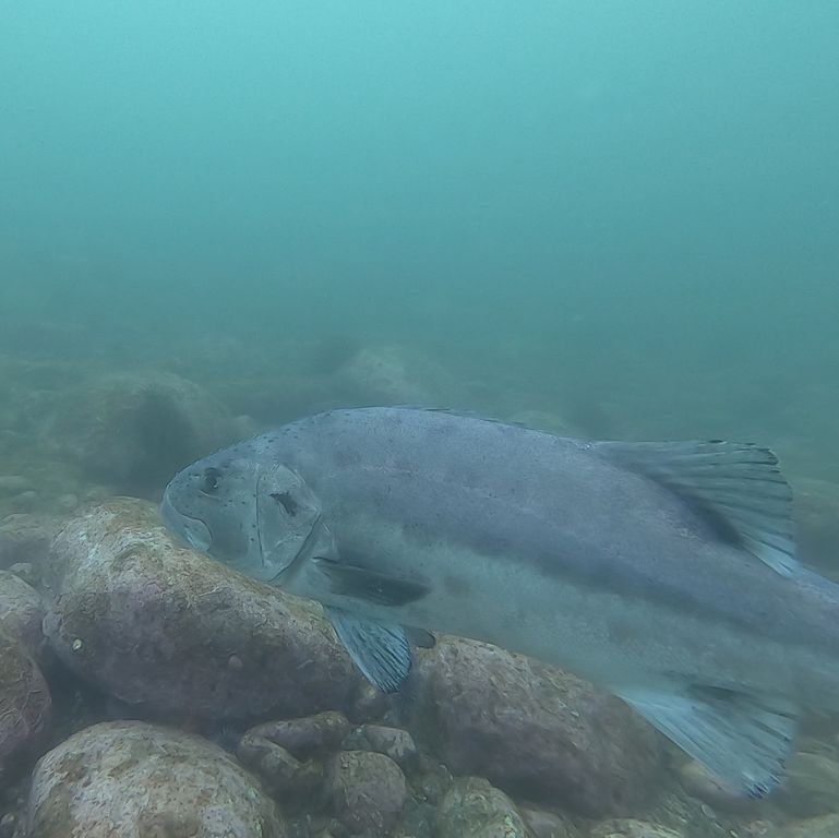 6a46a9bf-90c3-4da7-8846-ae353627b2f5