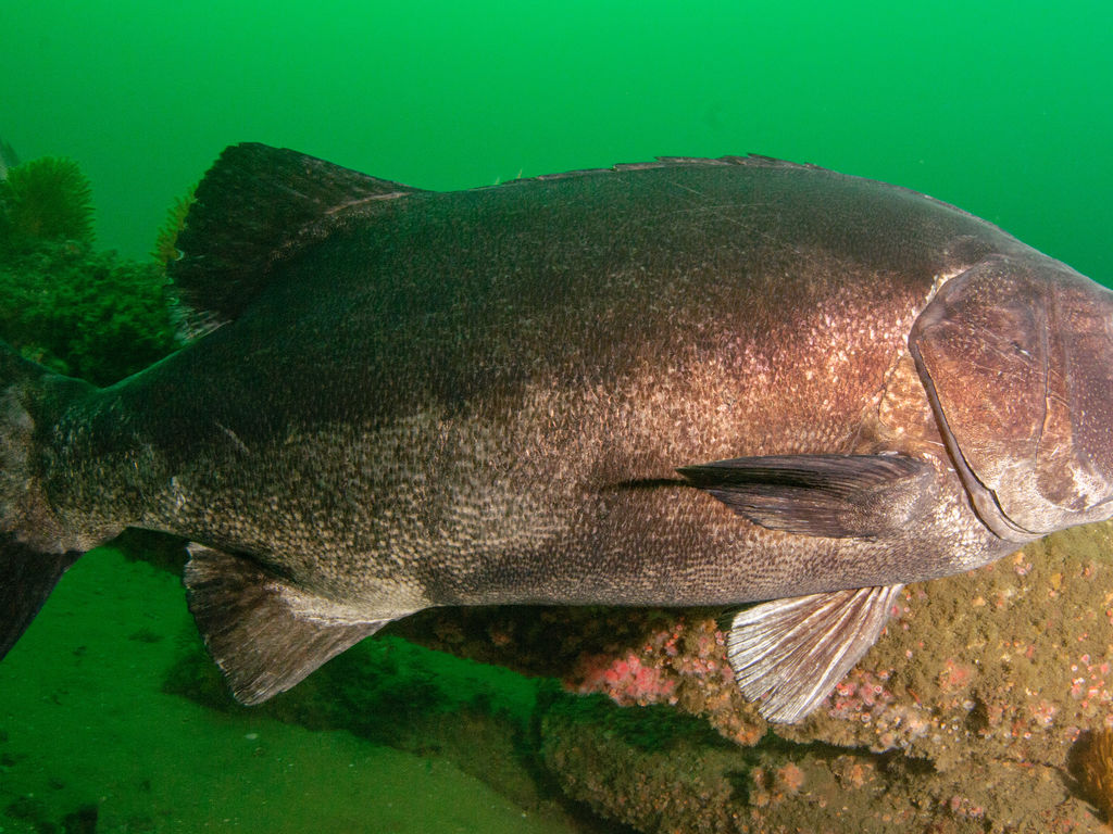 cd6dcb7f-f207-47a0-a2b1-72cc74a8a495