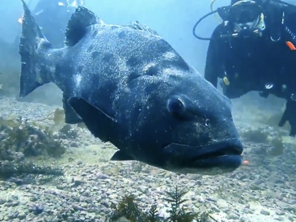 ff926d7d-d08b-40d5-9512-cf6753d0af88