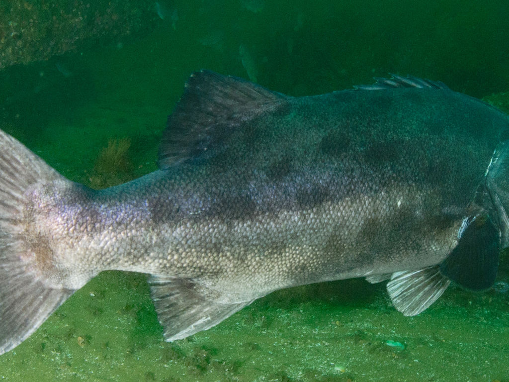 762df537-4296-4f0e-baf3-275e116cc8ef