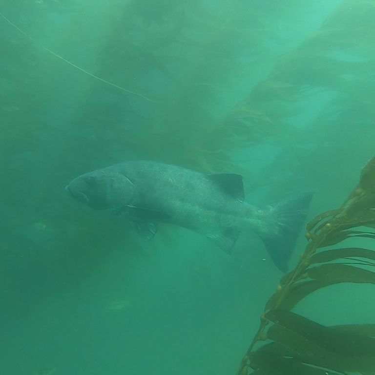 8ecc93d2-df1d-4676-9e4c-879ec550ead9