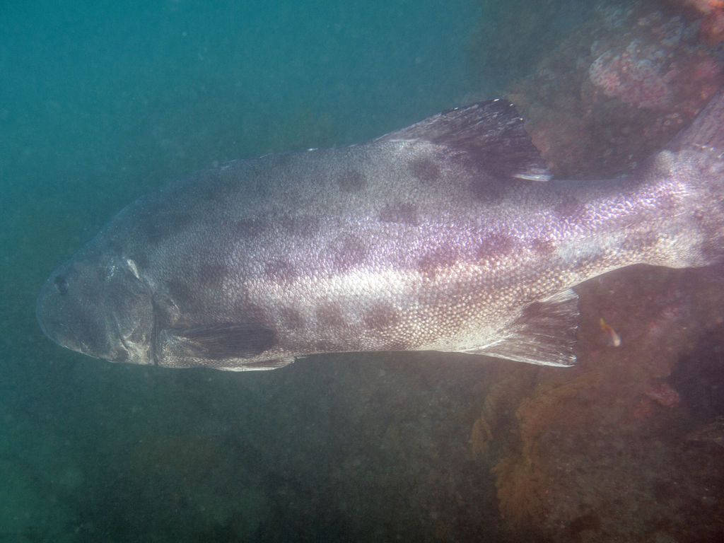 2e5e4f90-fd9e-4914-b0b4-75cdf115b8a7