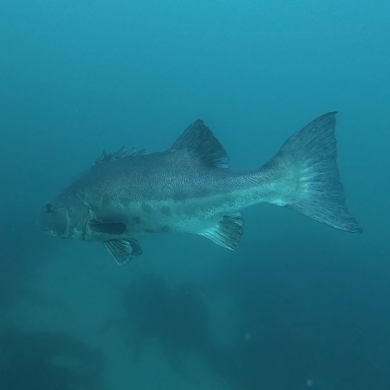 442cff86-575a-4166-92bc-0941488fdf81