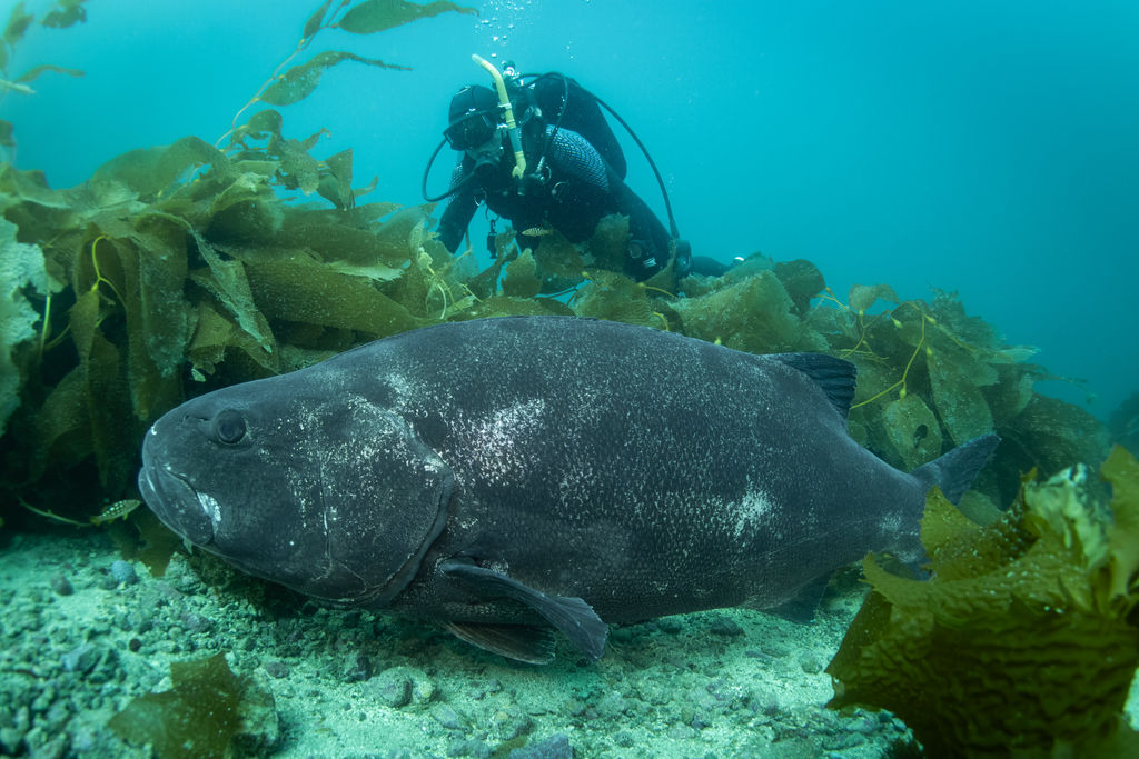 a3fbcfe8-f69a-4aef-b3cf-a05251a27fd8