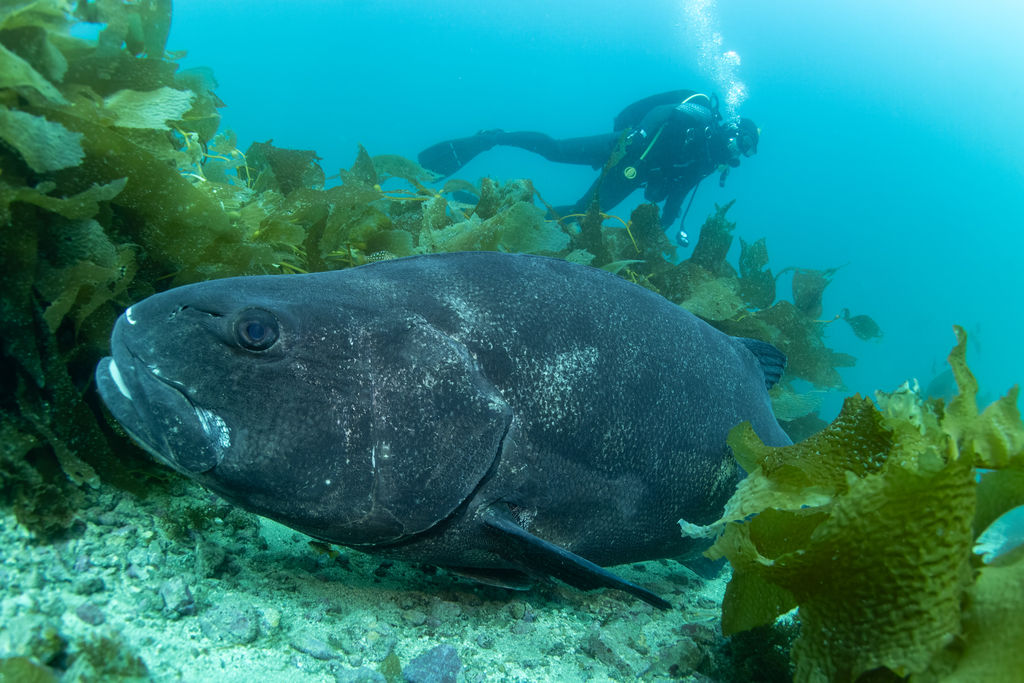 a3fbcfe8-f69a-4aef-b3cf-a05251a27fd8