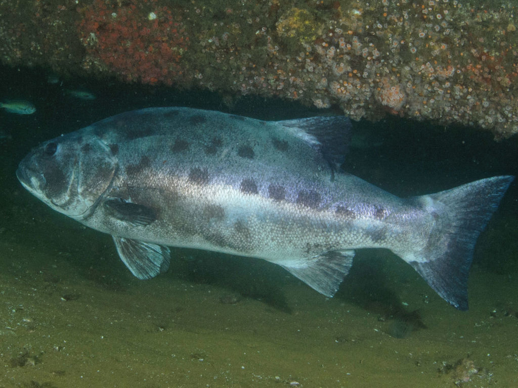 6db1a3a2-52d9-4157-b8f7-dd44892f46c2