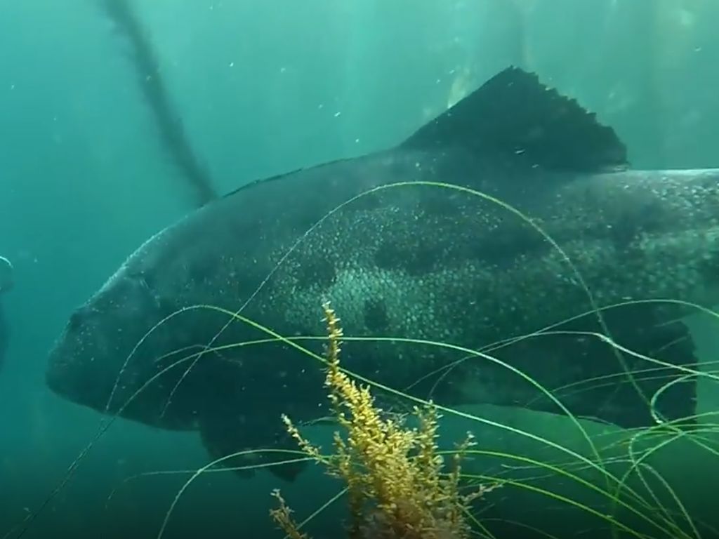 01507133-ebc3-4dd3-a091-86b2b9e9ef29