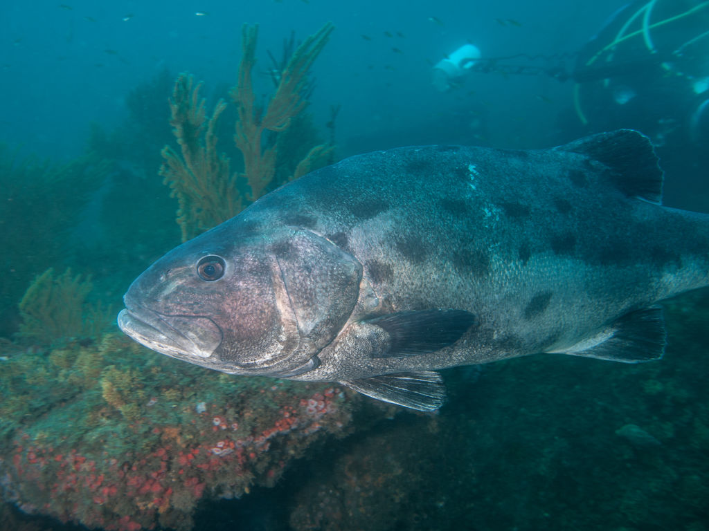 bdb72295-856a-4672-9757-64585374a2c3