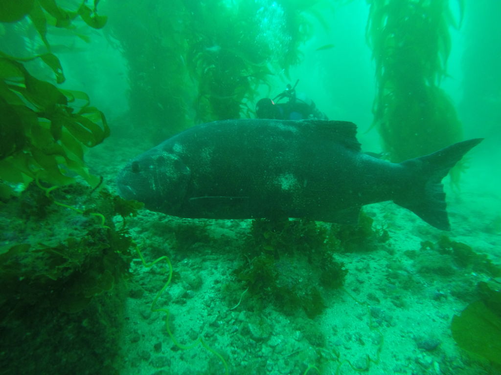 541d2609-d2d3-40bc-a85f-7636aa171d25