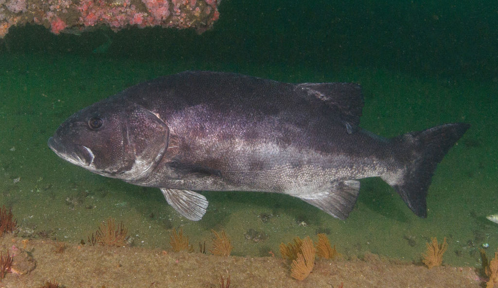 6adb1d60-0aa6-4760-a99f-3264270c26c4