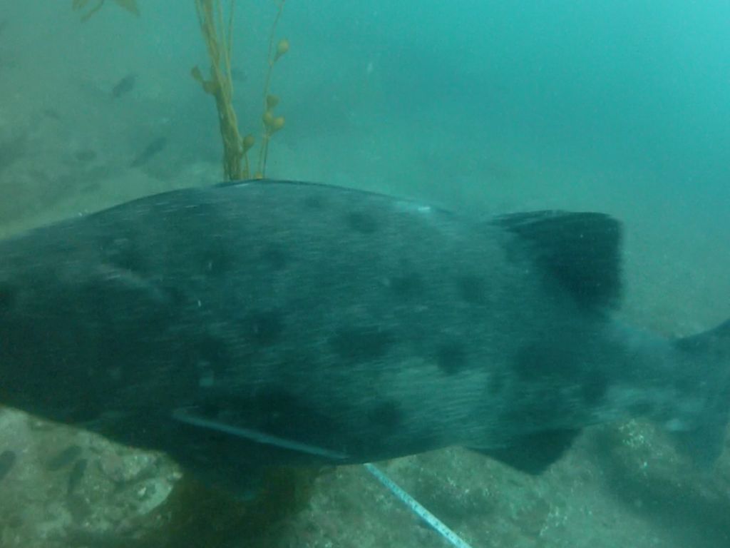 290ba810-7084-4cd2-8239-00588ddc8bef