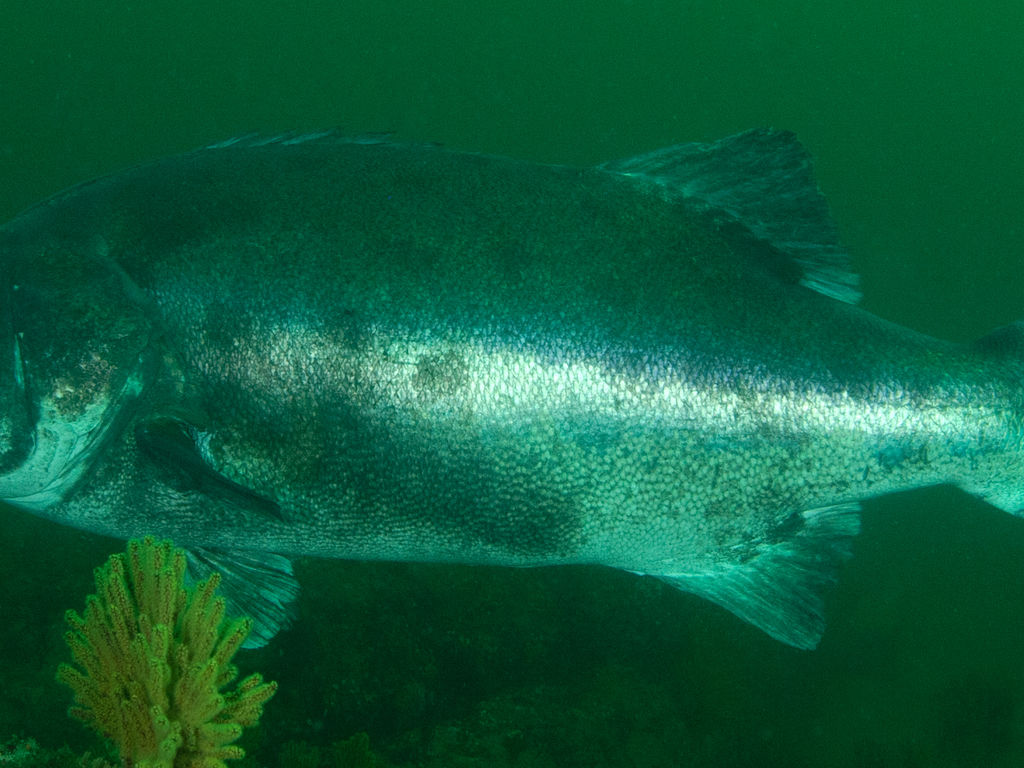 e31f1247-8a81-41a2-b8ef-43e3775be8cd