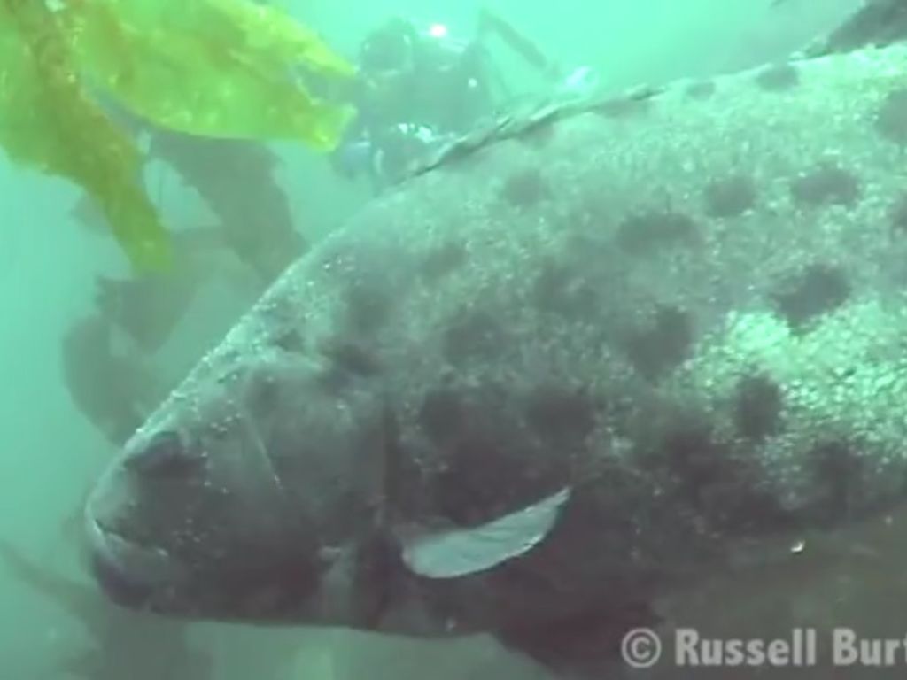 4bb829e5-1cfe-47f7-9838-00c357f2ca81