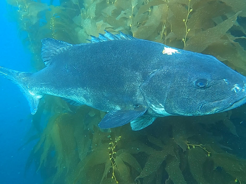 8f53fc1b-10f8-4c44-9111-a57ed5956c91