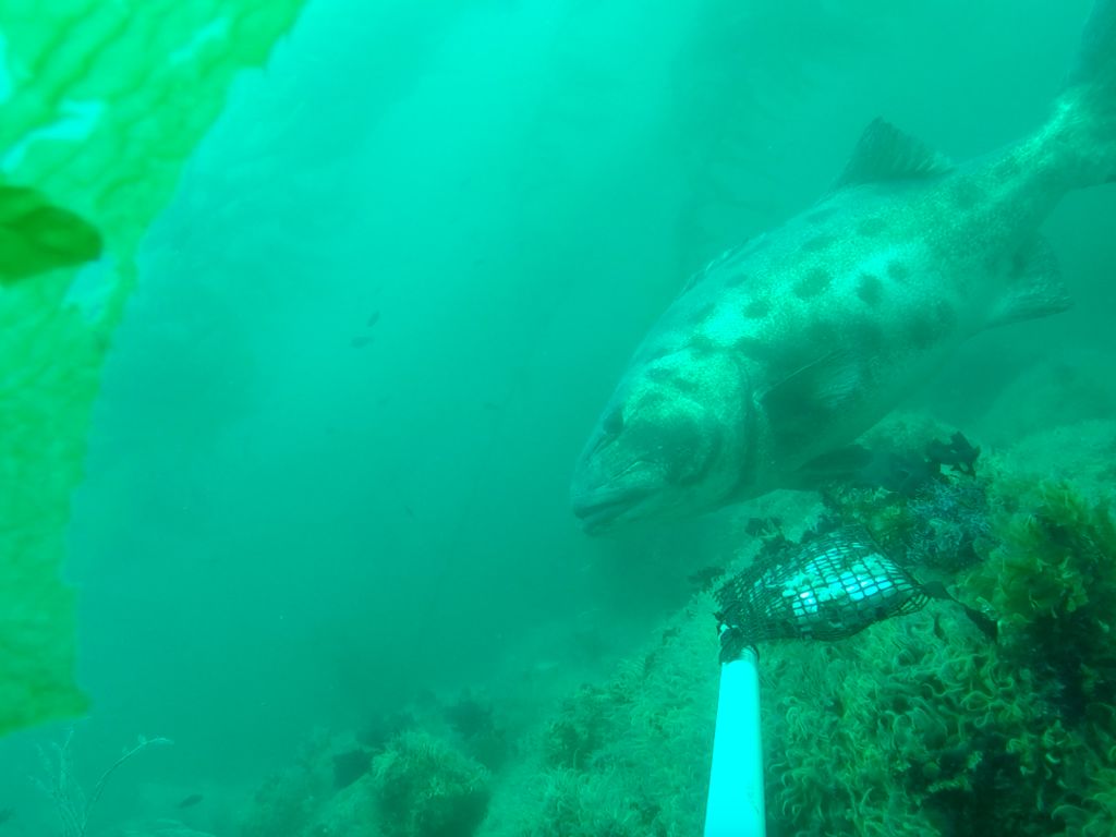 2237a388-f0e0-4794-8f46-9658c5f73dc1