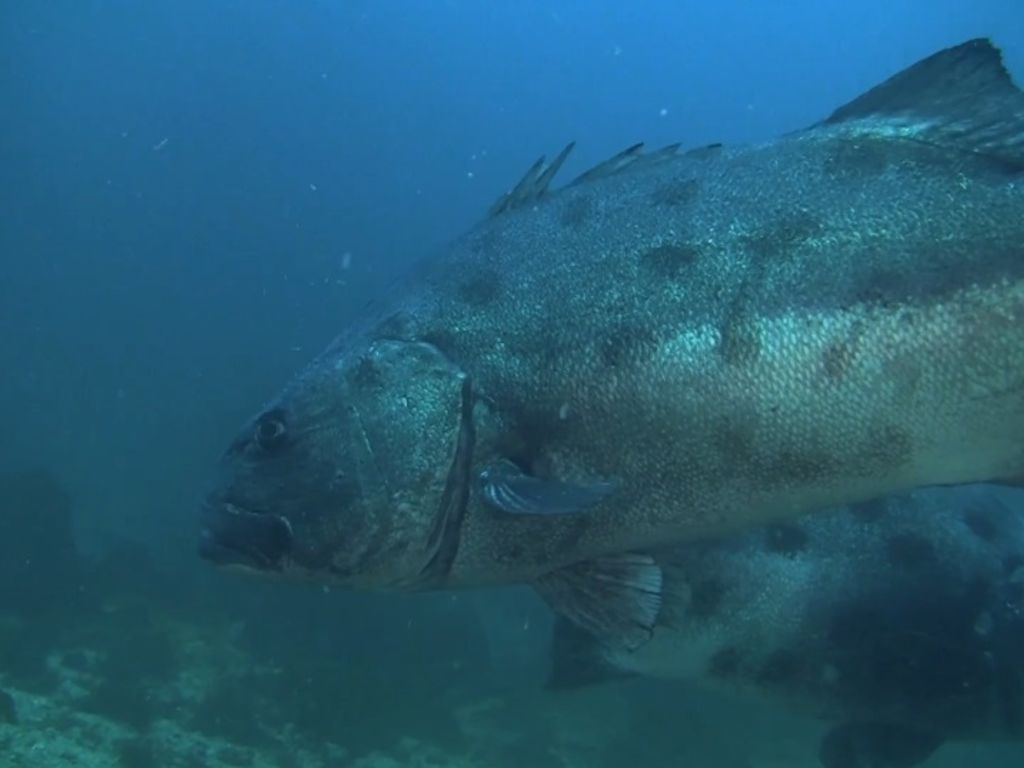 375054a8-ecd3-458b-af82-85cbf52e412f