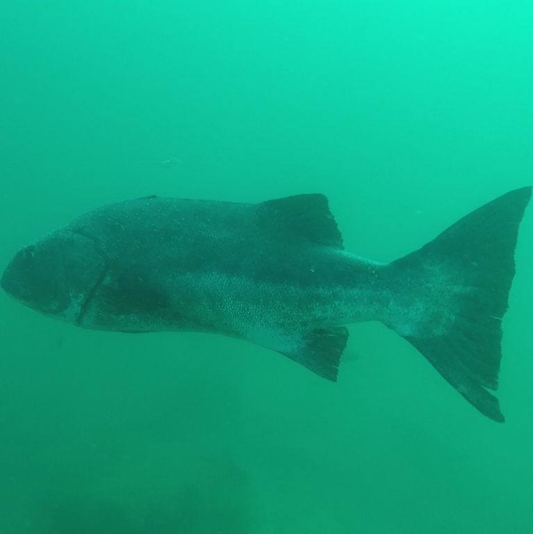 00d324c5-7220-47f3-bad6-2e33f322220b