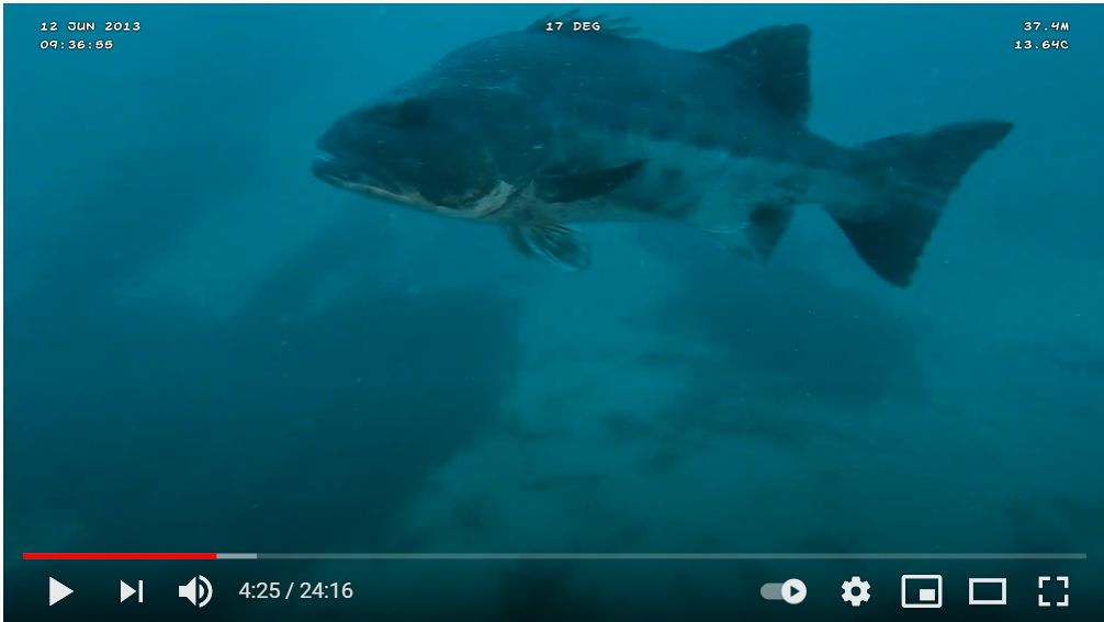 ce531685-8948-44dc-a52c-6d04efc16f61