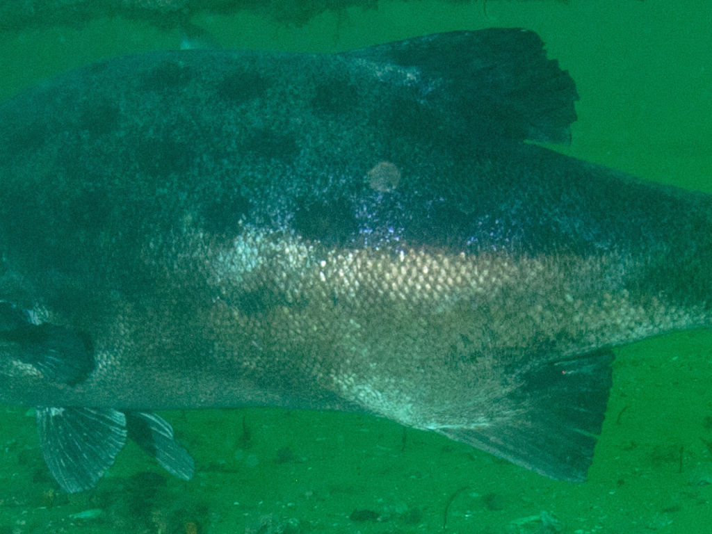 8150bb2c-02e3-4296-8f2c-439bc725566e