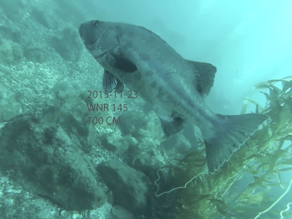 81523a1d-e0fe-4546-b8ff-e575de75dedd