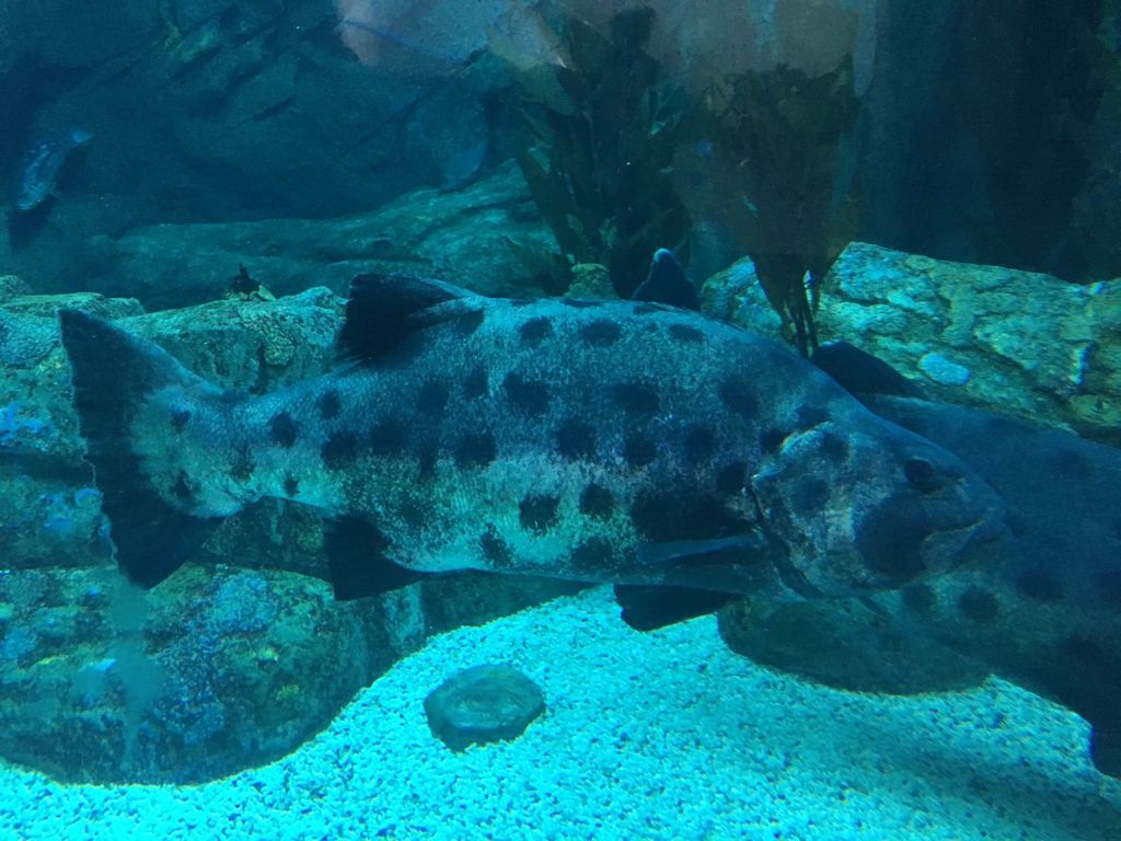 cd52d1f8-088b-4338-9b96-4b71b5af59f1