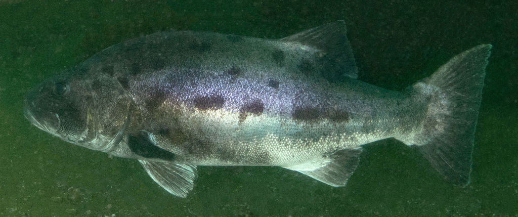 524abb5d-6ccc-42ce-a7c5-3d5b5a6afbb2