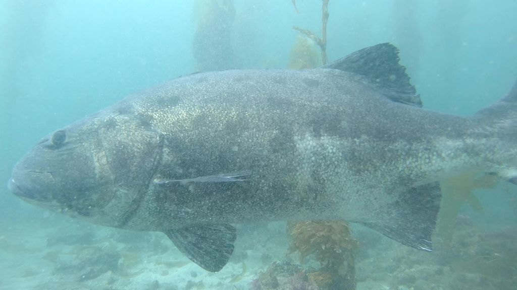 b042e3c3-5d3d-4cb7-ba64-3d8d9b54a1b0