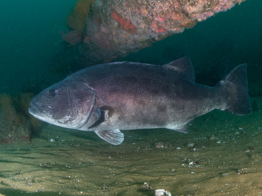 226506ed-8d73-4d8c-b988-a83c2794f0fc