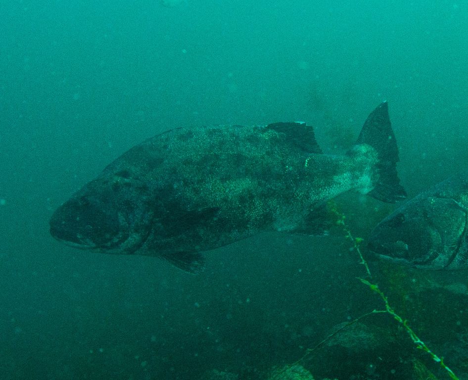 a2aa7d6d-7111-4da4-8889-9f5d7396e11f