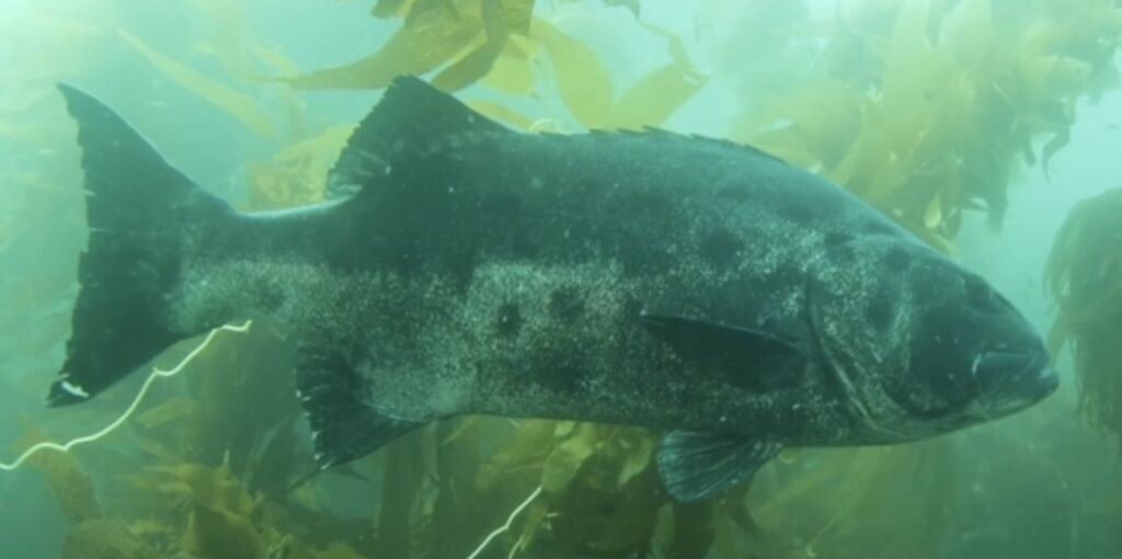 9447d923-9a09-4a7e-b511-f3caa411c47f