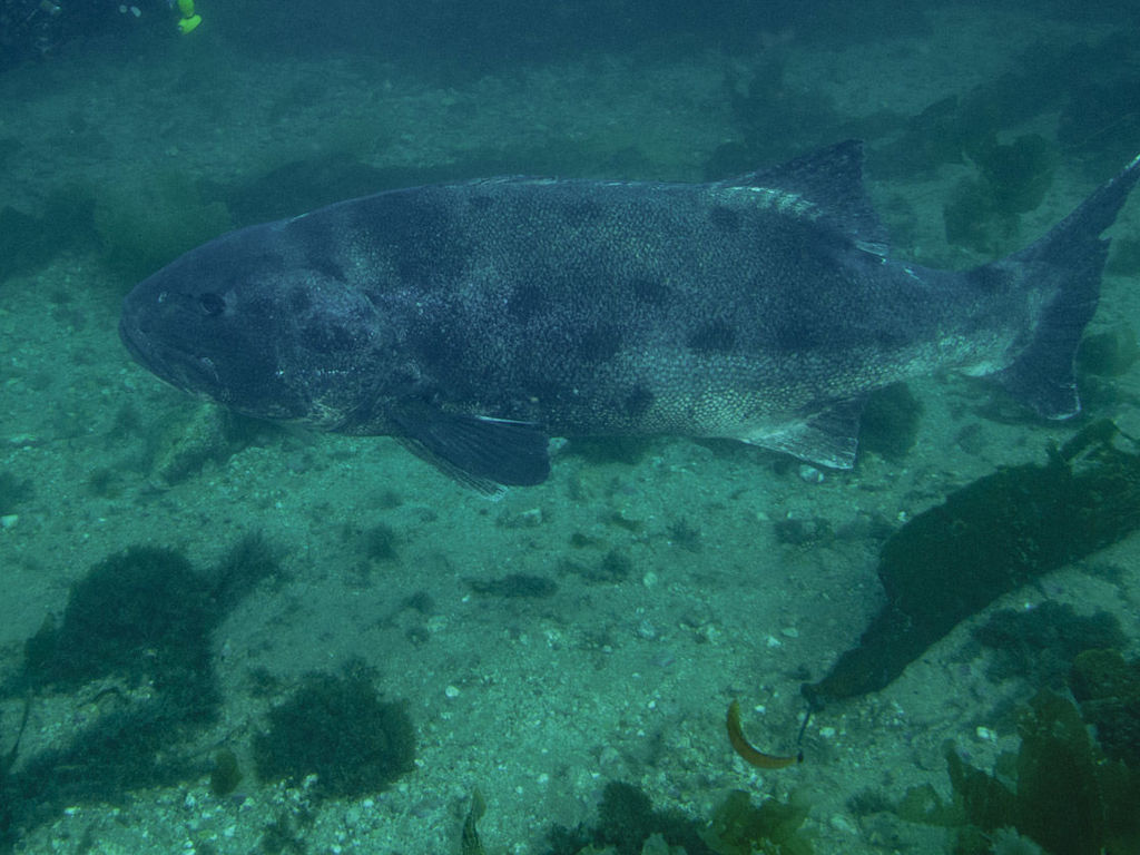 b35f6ea3-7532-43ec-9827-c0d1e2a7dbab