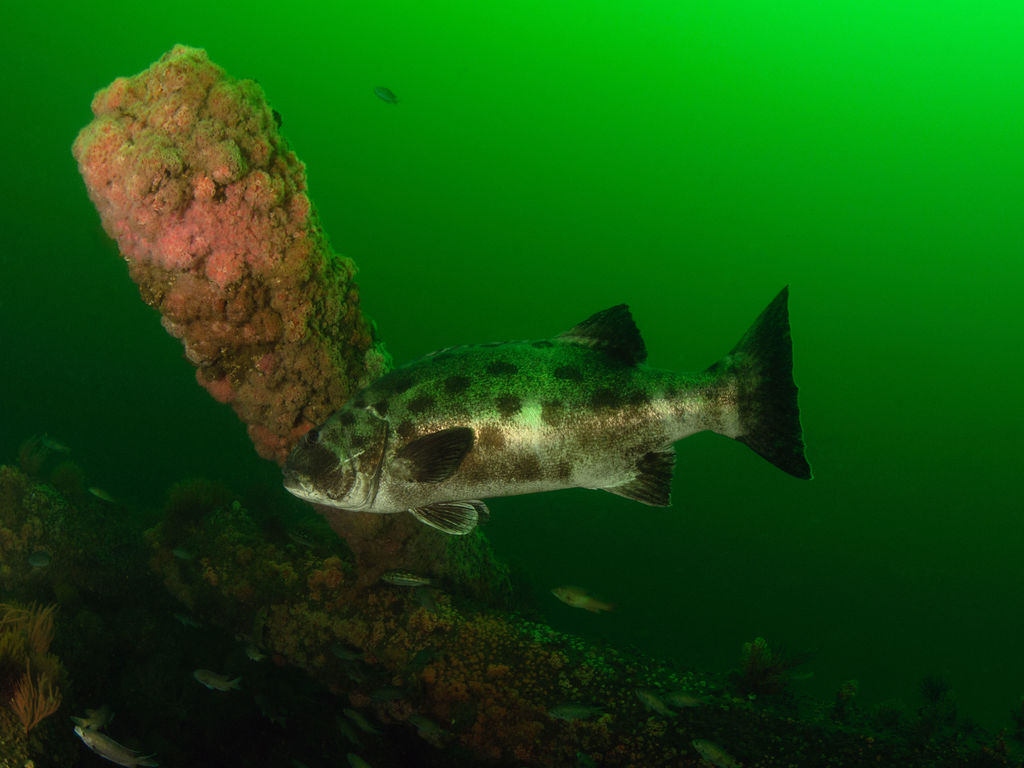 6b26e948-a233-4e02-973c-7e1ed4ee4e6b