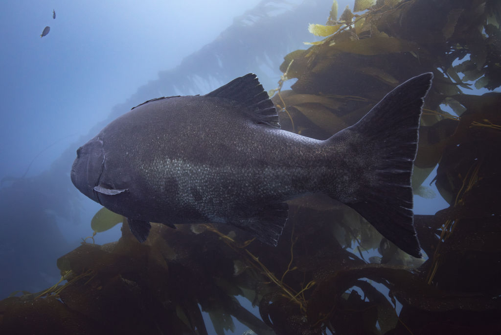 31bd8dbe-6a0b-44ed-8bef-80b298639f9d