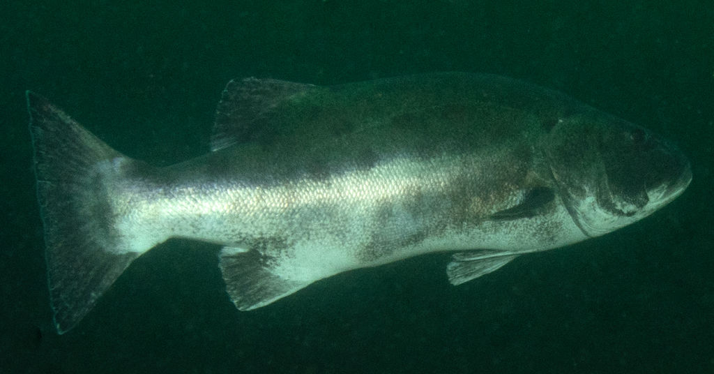 881f7635-860e-453f-b447-6b4f68e98f50